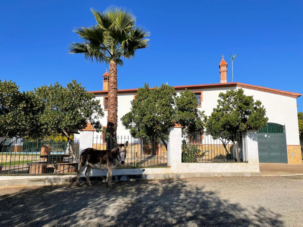 Casa Rural La Galvana Аракена Екстериор снимка